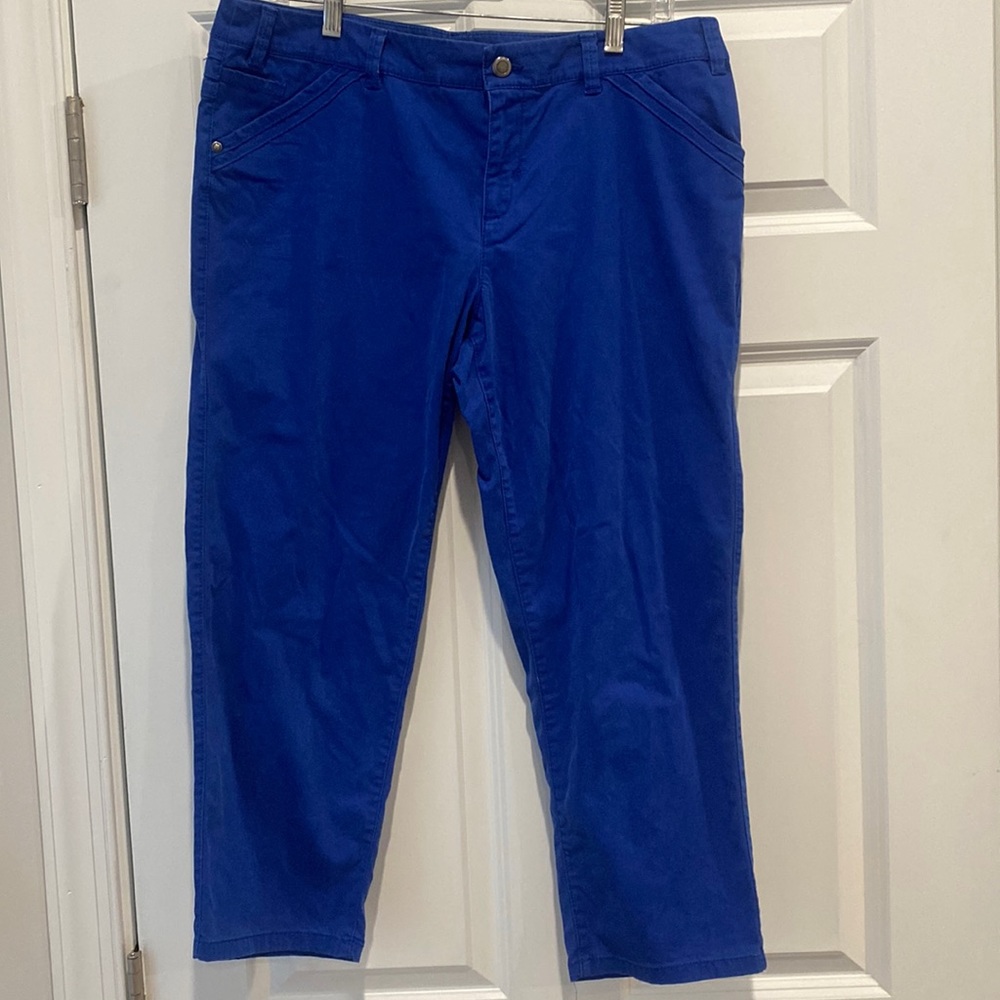 Relativity Crop Pants in Blue